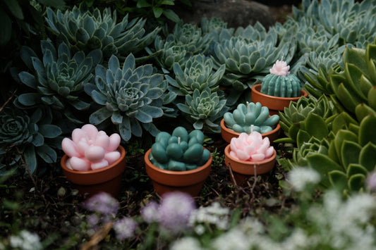 The Power of Supporting Small Businesses: Why Every Purchase Matters