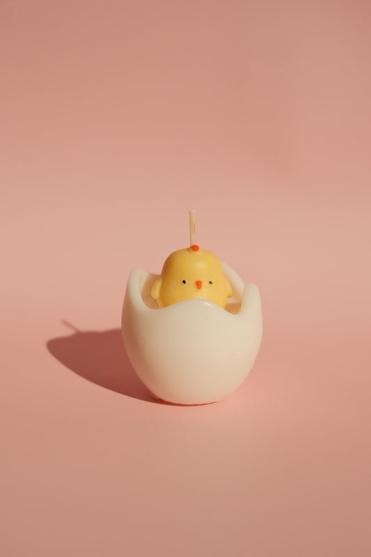 Chick in Egg Candle