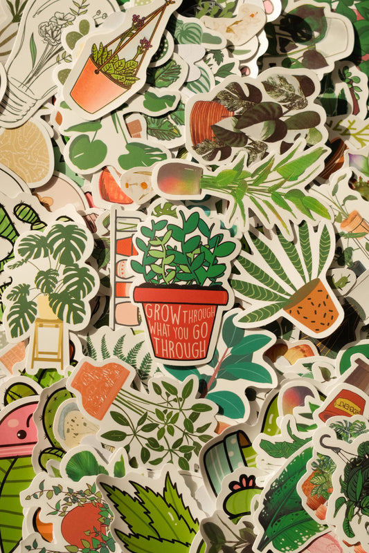 10 Pack Plant Stickers