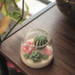 Judean Desert  - Mini Terrarium Candle